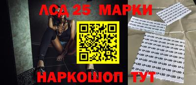 индика Кунгур