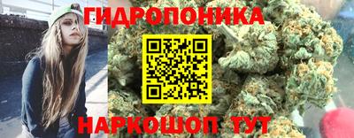индика Кунгур