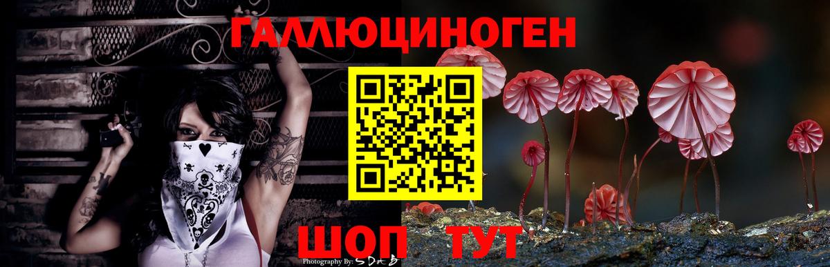 Галлюциногенные грибы GOLDEN TEACHER  Вход с VPN  Златоуст 